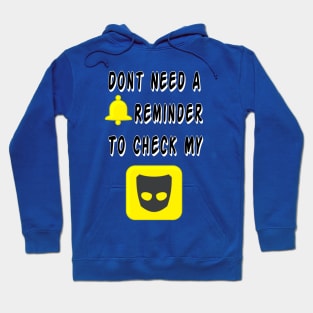 DON'T NEED A REMINDER! (TO CHECK GRINDR) Hoodie